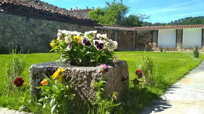 a pot of flowers sitting on top of a stump at Боримечковата къща in Kalofer