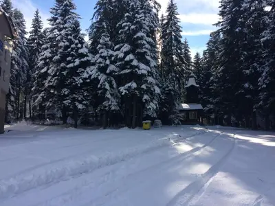 a snow covered yard with trees and a house at Borovets Hotel Villa Park in Borovets