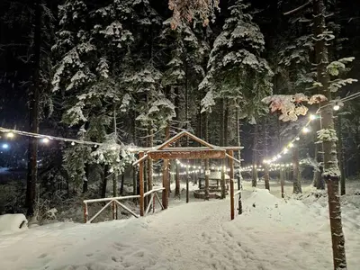 a park covered in snow at night with lights at Borovets Hotel Villa Park in Borovets