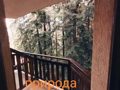 a view of a forest from a balcony at Borovets Hotel Villa Park in Borovets