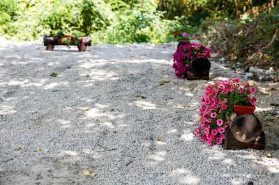 a group of flowers sitting on the ground at Villa Drecheva in Ognyanovo