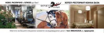 a picture of a horse on a wall in a room at Hotel Frigopan in Plovdiv
