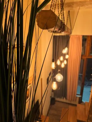a room with a potted plant and a chandelier at Boutique Guest House Yes For You in Plovdiv