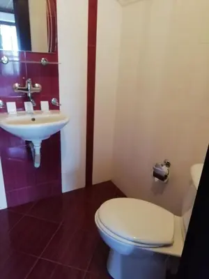 a bathroom with a white toilet and a sink at Family Hotel Kalifer in Kalofer