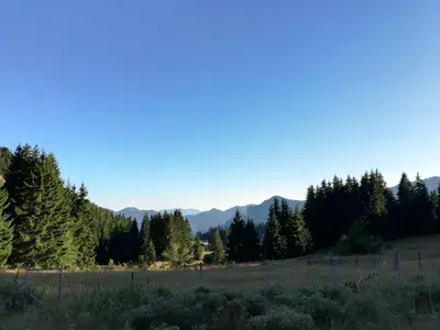a field with trees and mountains in the background at Grand Monastery - Azure Apartment in Pamporovo
