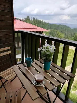 a wooden bench on a balcony with flowers on it at Grand Monastery - Azure Apartment in Pamporovo