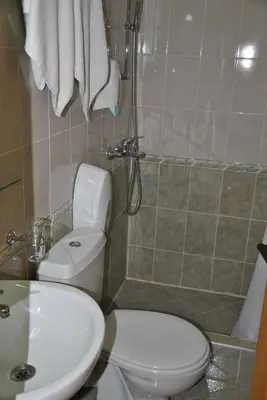 a bathroom with a toilet and a sink and a shower at Family Hotel Shoky in Chepelare