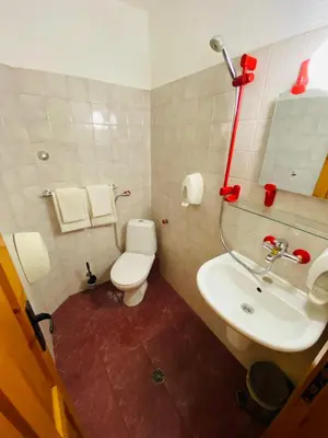 a bathroom with a white toilet and a sink at Family Hotel Savov in Chepelare