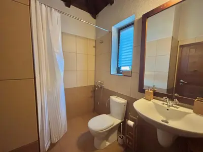 a bathroom with a toilet and a sink at Villa Bachevo Horizon in Bachevo