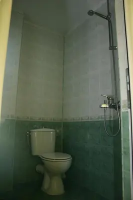 a bathroom with a toilet and a shower at Family Hotel Studio in Sandanski