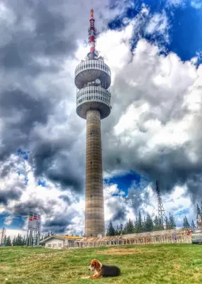a dog laying in front of a control tower at Guest Rooms Metaksinovi in Chepelare