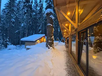 a house covered in snow next to a tree at Algara hut in Panichishte