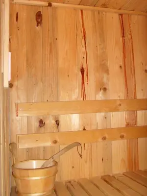 a bathroom with a toilet in a wooden wall at Family Hotel Markony in Pamporovo