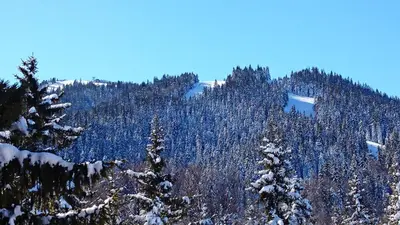 a mountain covered in snow with trees on it at TES Rila Park Apartments in Borovets