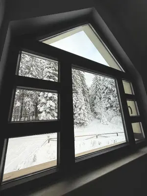 a window with a view of snow covered trees at Berghof Eva - Hotel in Panichishte
