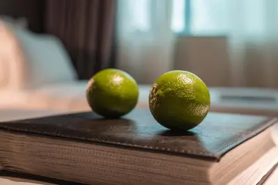 two oranges sitting on top of a book at THE STAY Boutique Hotel Central Square - Free Compliments - Free Wi-Fi - TOP LOCATION - Nearby Paid Parking in Plovdiv