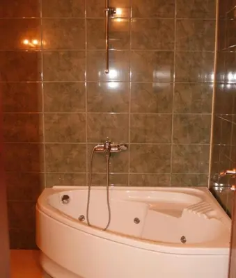 a bathroom with a bath tub with a shower at Hotel Elegance in Asenovgrad