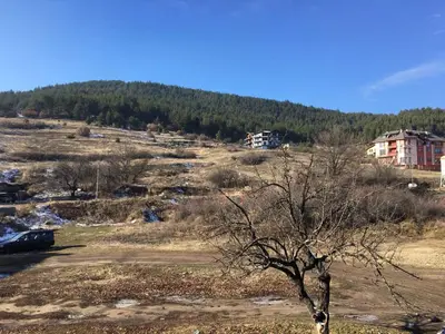 a tree in the middle of a field at ApartVel apartment 2 in Velingrad