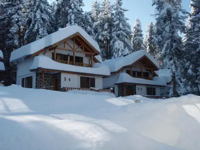a house covered in snow in front of trees at Saint George Holiday Village in Borovets
