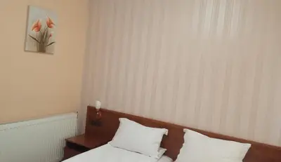a bedroom with a bed with two pillows at Семеен хотел НАЦИОНАЛ in Mineralni Bani