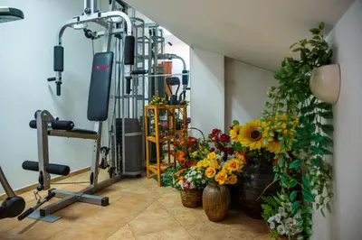 a gym with flowers and plants in a room at Pri Ani Guest House in Bansko