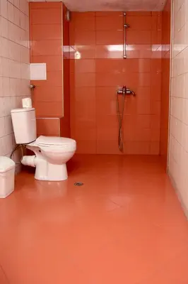 a bathroom with a toilet and a shower at St.St. Constantine and Helena in Sandanski
