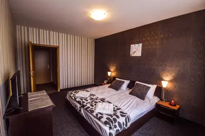 a bedroom with a large bed and a television at Elite Spetema Hotel in Sofia