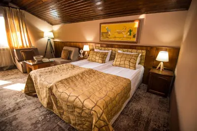 a hotel room with a bed and a chair at Elida Family Hotel in Bansko