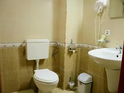 a bathroom with a toilet and a sink at Family Hotel LILI in Bansko
