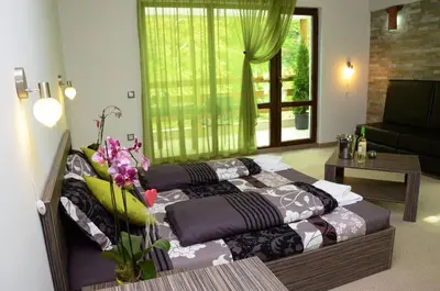 Gallery image of Family Hotel BOHEMA in Ognyanovo