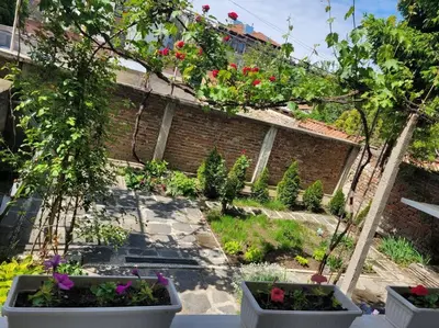 a garden with three pots of flowers and a brick wall at Plovdiv Top Center 2 Bedroom Apartment, FREE Parking in Plovdiv