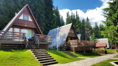 a cabin with a staircase leading up to it with trees at Romantica Forest Guest House in Dospat