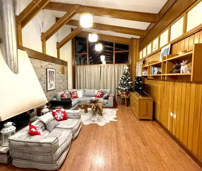 a living room with a couch and a christmas tree at Pirin Golf and Spa Luxury Chalet in Bansko