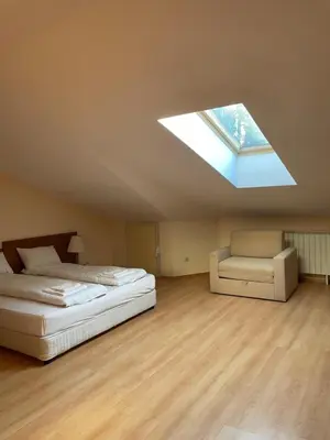 a bedroom with a bed and a skylight at Studios-Villa Park SV in Borovets