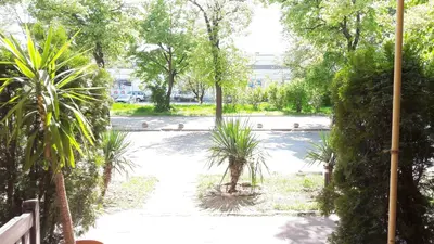 a park with a bunch of plants and trees at Rio Family Hotel in Blagoevgrad