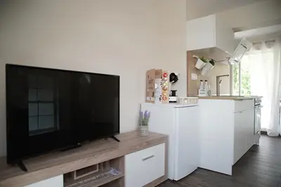 a living room with a large flat screen tv at Roma Apartment in Sandanski
