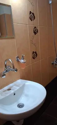 a bathroom sink with skulls on the wall at Стаи за гости Дончо Войвода in Koprivshtitsa