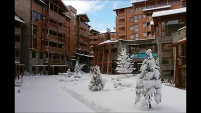 a yard covered in snow with trees and buildings at Private Apartment Maxim in Bansko