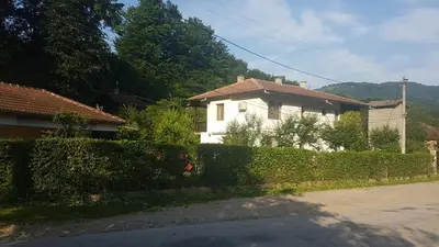 a white house with a hedge in front of a house at Вила Керенски in Ribarica