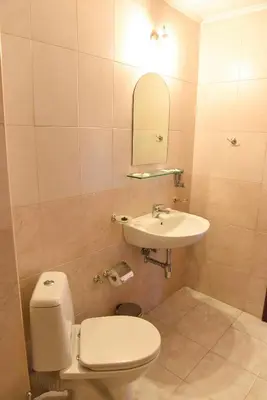 a bathroom with a toilet and a sink at Lovna sreshta in Bansko