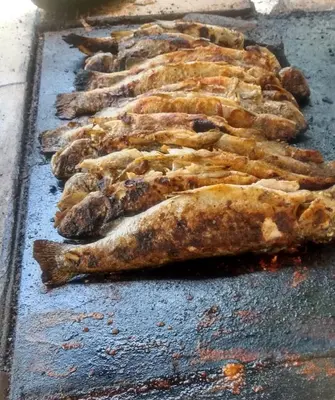 a row of food sitting on a grill at Семеен Хотел 