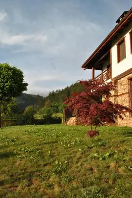 a house in a grassy field next to a building at Планински кът in Dorkovo