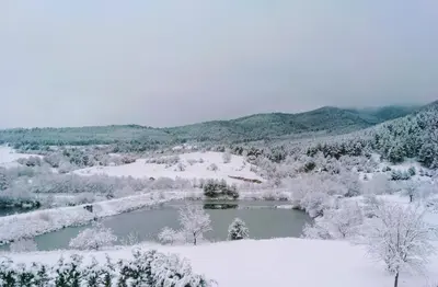 a river in a snow covered forest with a lake at Планински кът in Dorkovo