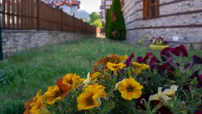 a bunch of colorful flowers in a yard at Two bedroom apartments in Murphys Lodge in Bansko