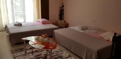 a bedroom with two beds and a table and a window at Alex apartment in Velingrad