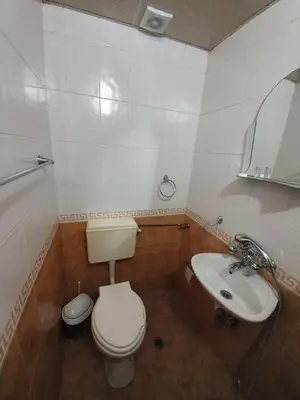 a bathroom with a white toilet and a sink at Тодор Прегьов in Bansko