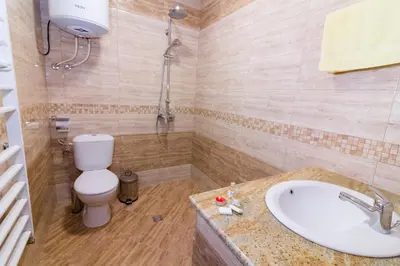 a bathroom with a toilet and a sink at Trite Bora Guest House in Narechenski Bani