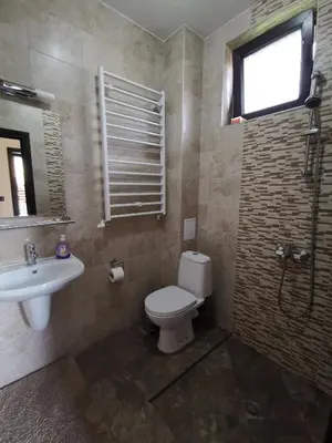 a bathroom with a toilet and a sink and a window at Възрожденски комплекс Чардакъ Сопот in Sopot