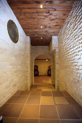 a hallway in a wine cellar with a wooden ceiling at Zlaten Rozhen Family Hotel- Monument of Cultural Significance in Rozhen