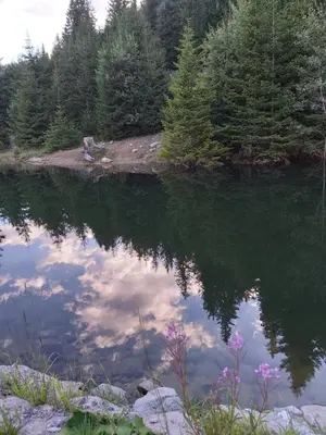 a lake with trees and clouds in the water at Snow magic Grand Monastery in Pamporovo